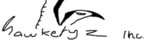 hawkeryz inc
