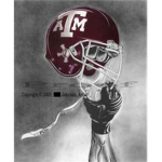 aggies rock