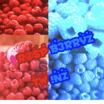 Raspberryz Tw!nz