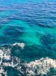 The Mystical Ocean Clan