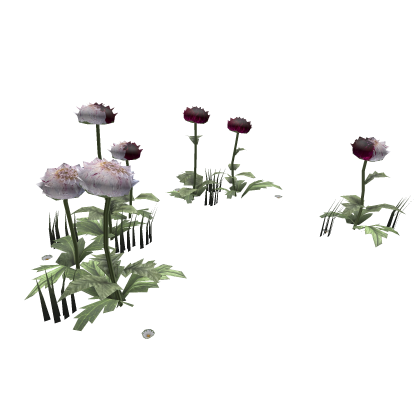 Fasciation Mutated Flower Field Dreamcore Dahlia