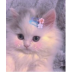 ملابس شريره