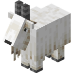 iiButerfly_