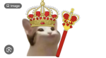 Cat Arms of Defense