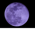 StacieMoon