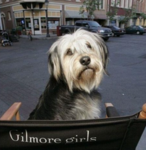 Paul Anka Pizza Pizza Woof Woof