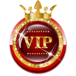 VIP ESTUDIOS