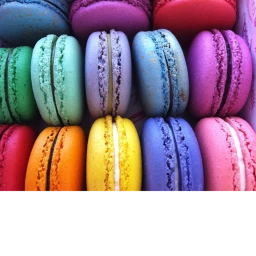 Macaroon Madness icon