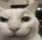 BLESH