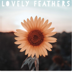 ∙ lovely feathers ∙