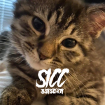 sic ; r