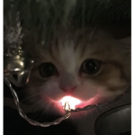 ∙~ Aввιєѕ ɕℓσтнєѕ ~∙