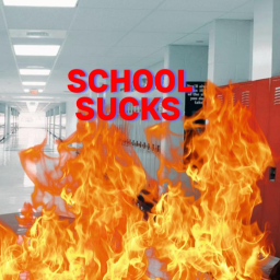 i dislike school