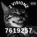 2 Visionz