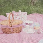 ⋆ leahs butterflies ⋆