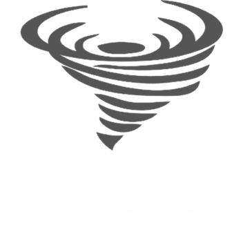 Project Mississippi [CLOSED]