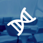 EvoTech Service Group