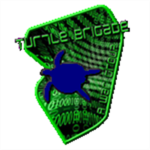 Turtle Brigade Air Force