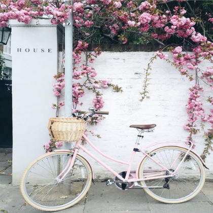 pink flower bike Roblox decal