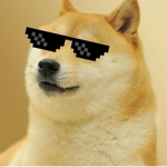 Amazing Doge Group!