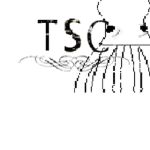 [TSC] Tradelands - The Sea Conspiracy