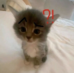 Idk (kitteh)
