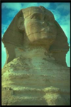 Egyptian Warriors