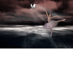 Snowflake dance Studio