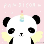 pandicorn love