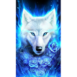 Wolf army never get down