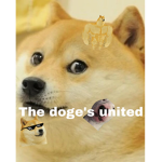The doge’s united