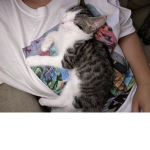 TWIXTHECAT
