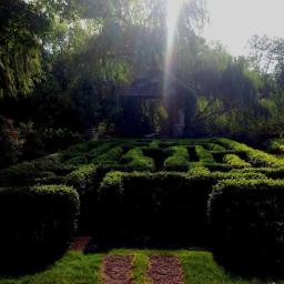 Maze Simulator
