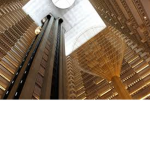Robloxian Hotel Corporation