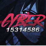 cybxrr