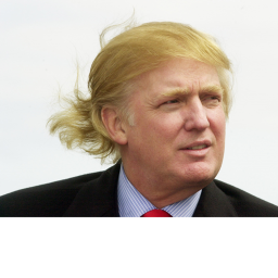 O ne donald trump in a hillary clinton sweater