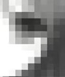 Skel Community Group Thumbnail