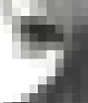 Skel Community Group Thumbnail
