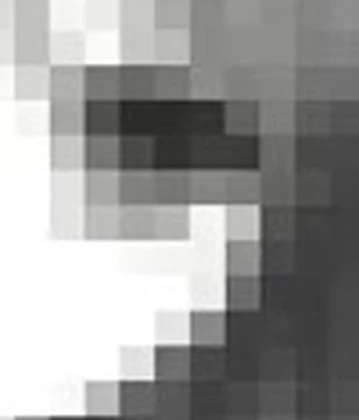 Skel Community Roblox group icon