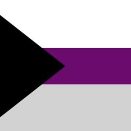 demi flag Roblox decal