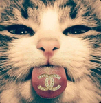 KUPA<3 Group Thumbnail
