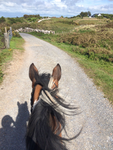 Spring Equestrian Centre WHI