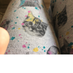 Cat ###### only and dog ######