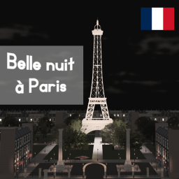 Belle nuit à Paris (Voicechat)