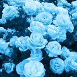 💙