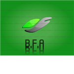 BFA (Best Fighting Agencey)