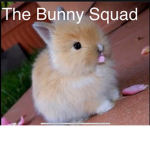 The litte Bunny Squad