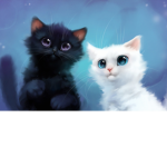 The Cool Cats Club .