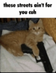 yurl