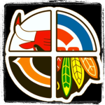Chicago Sports